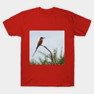 Southern Carmine Bee-Eater T-Shirt